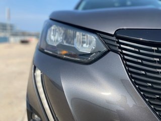 Peugeot 2008 HDI 110cv