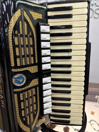 Pianos Y órganos Acordeon Paolo Soprani 120 Bajos