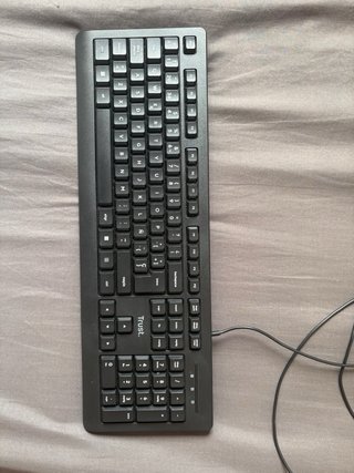 Teclado Trust Negro USB
