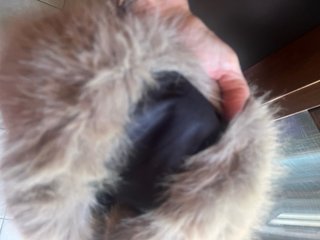 Borsetta in pelliccia sintetica con catena dorata