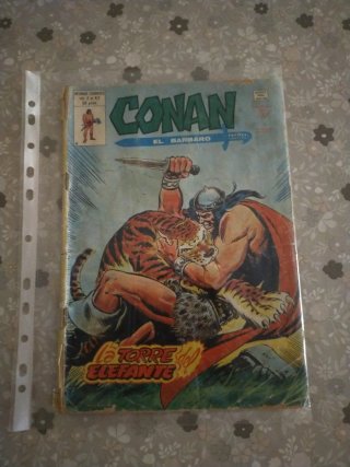 Lote cómics Conan el Bárbaro