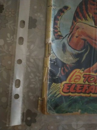 Lote cómics Conan el Bárbaro