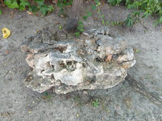 Rocalla Decoración Jardín Piedra Gris y Verde