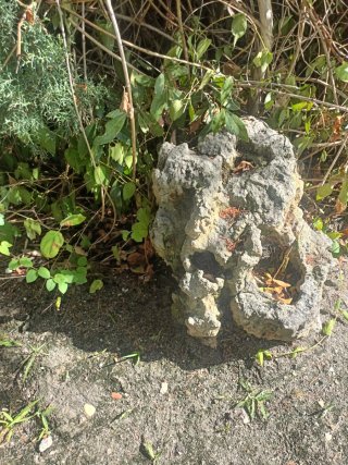 Rocalla Decoración Jardín Piedra Gris y Verde