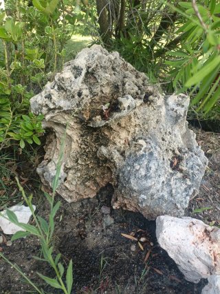 Rocalla Decoración Jardín Piedra Gris y Verde