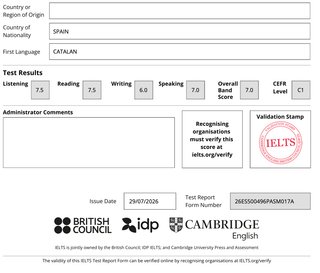 Clases particulares de inglés (A1-B2)