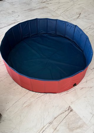 Piscina para perros