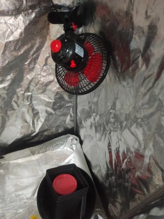 Armario cultivo interior + kit completo