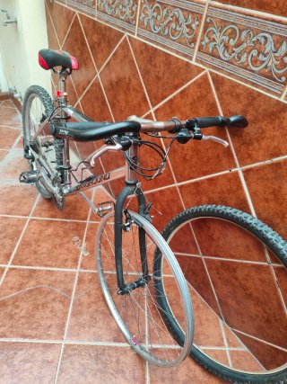 Bicicleta de montaña Sanground