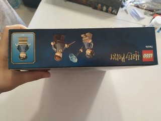 LEGO Harry Potter Expecto Patronum 76414