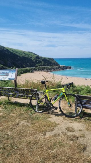 Bicicleta de carretera Giant