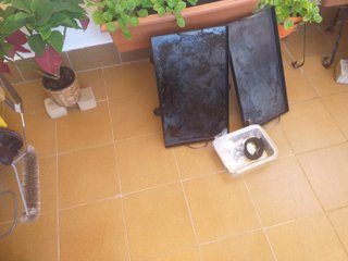 Barbacoa a gas Weber Spirit II