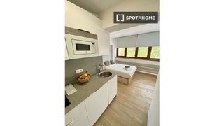 Estudio en alquiler en Bellas Vistas en Madrid
