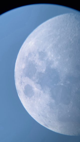 Ocular Celestron