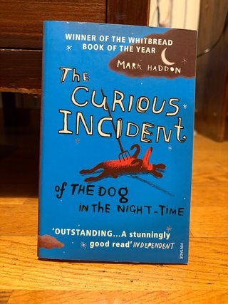 The Curious Incident of the Dog in the Night-time