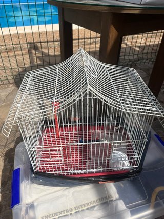 Jaula para pájaros blanca y roja