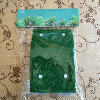 Piattaforma con rampa per tartarughe