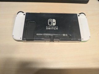 Nintendo Switch Edición Animal Crossing