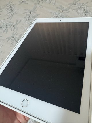 iPad 6ª Gen Plata