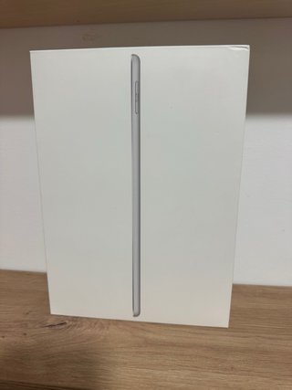 iPad 6ª Gen Plata