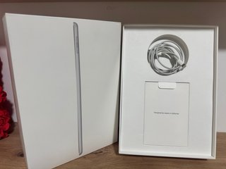 iPad 6ª Gen Plata