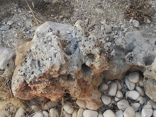 Piedras decorativas para jardín