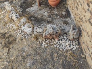 Piedras decorativas para jardín
