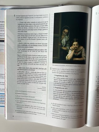 Lengua castellana y literatura 4o Secundaria Li...