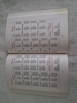 Los verbos españoles
