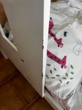 Cama casita 90 cm