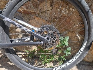 Specialized Epic Elite in ottime condizioni
