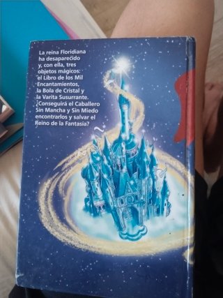 Rescate en el Reino de la Fantasía. Noveno viaje