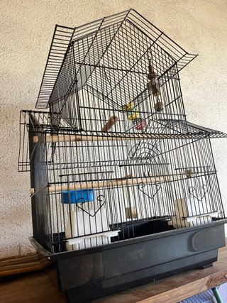 Jaula grande para pájaros. Casi nuevo, poco uso.