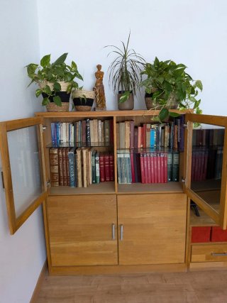 Mueble de salón Jysk madera