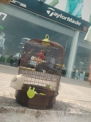Jaula para pájaros