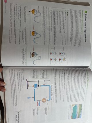 Biología y Geología, 4 Secundaria, Andalucía Re...