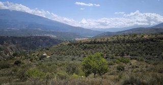 Finca 19.274 m² Valle de Lecrín