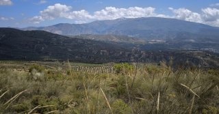 Finca 19.274 m² Valle de Lecrín