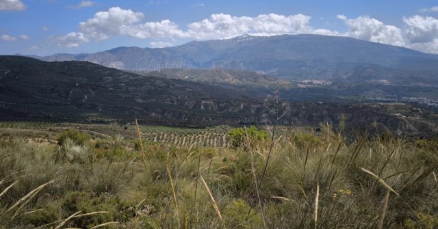 Finca 19.274 m² Valle de Lecrín