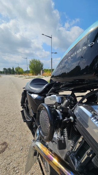 Harley-Davidson Sportster XL1200N