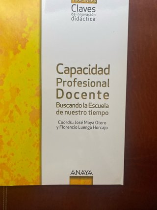 Capacidad profesional docente buscando la escue...