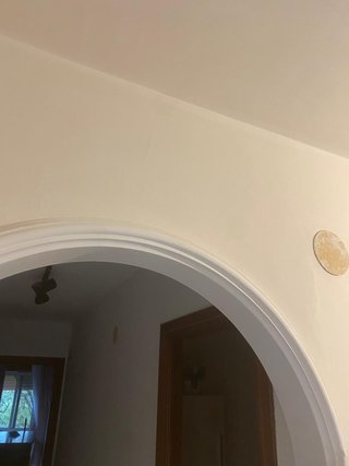 Reparar molduras y techo escayola Córdoba