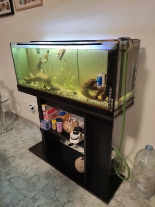 Pecera 100L con mueble a medida