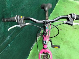 Bicicleta Infantil Rosa 24
