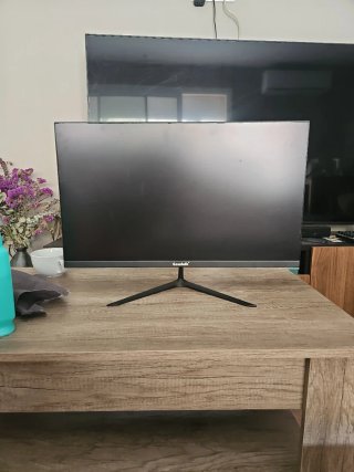 Pantalla ordenador 24.5" Negra