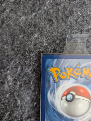 Carta Pokémon Ice Rider Calyrex VMAX