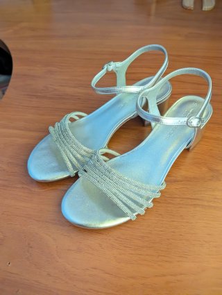 Zapatos de fiesta plateados