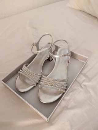 Zapatos de fiesta plateados