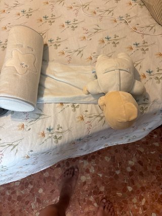Passeggino Bugaboo