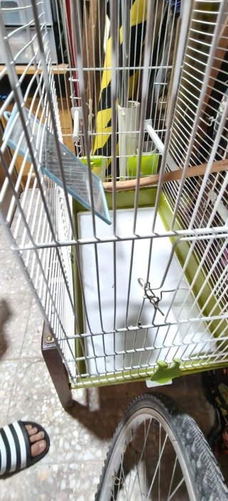 Jaulas para pájaros (2 unidades)